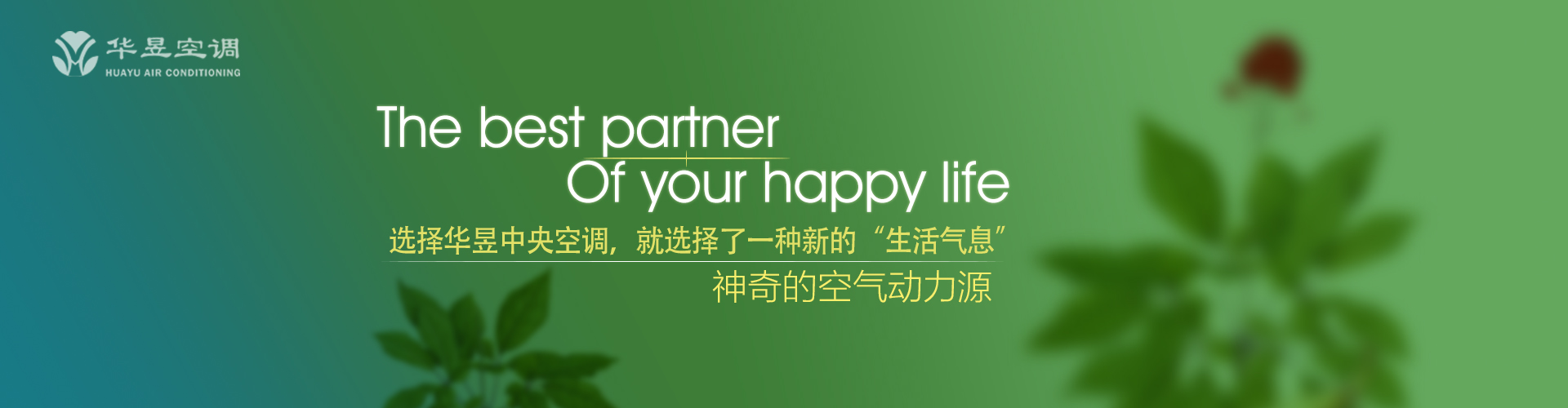 对簿公堂网